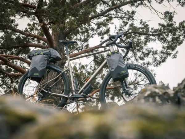 Old Man Mountain Hemlock with FLiP Cages