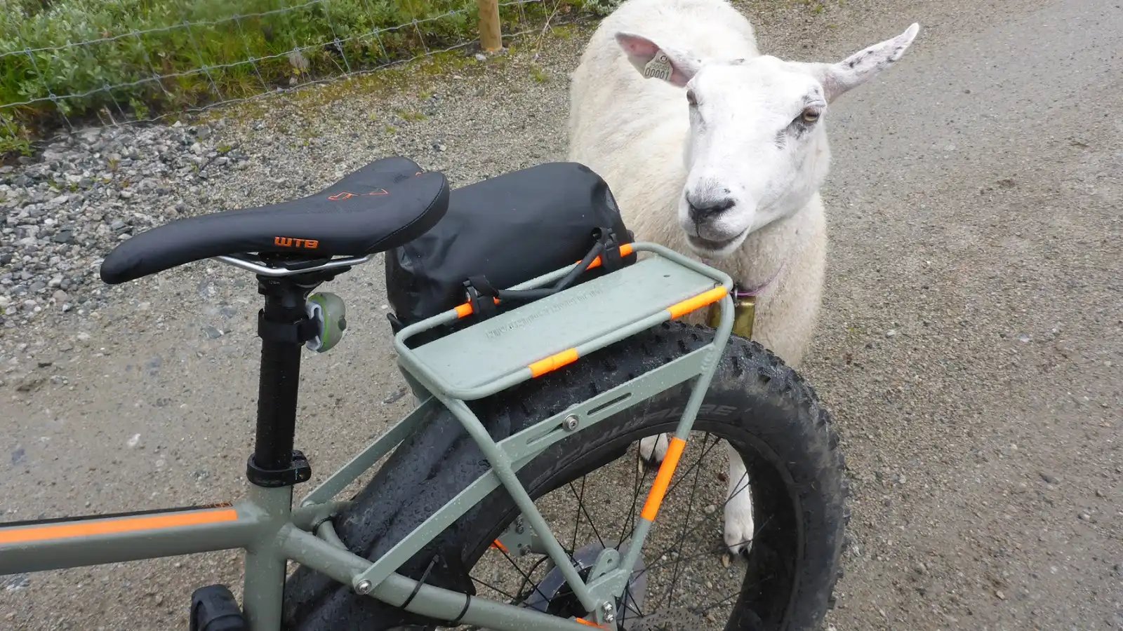 Felt DD Fatbike with a custom colored Sherpa Phat rack